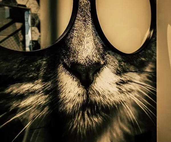 Boutique Old School شقة سول